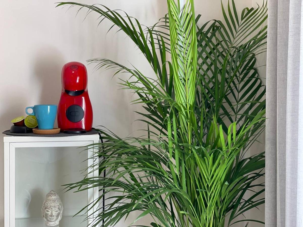 Cozy Studio Centr Torremolinos Ngoại thất bức ảnh